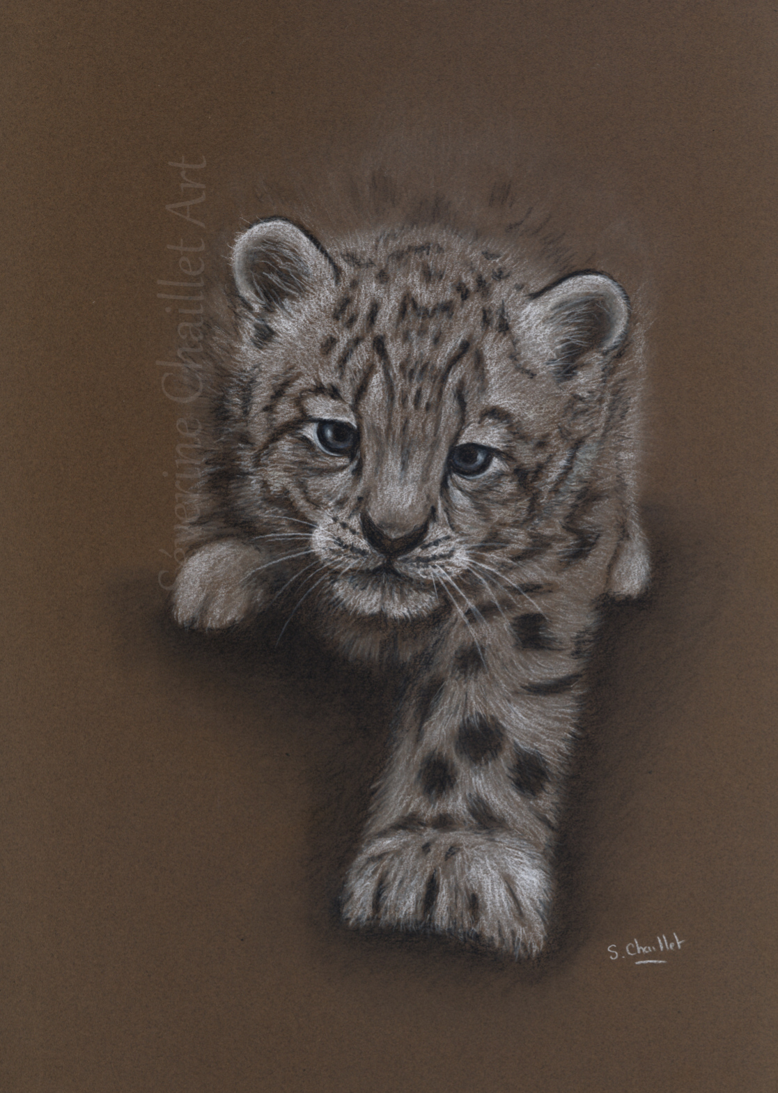 Portrait d'un bébé léopard au pastel sec