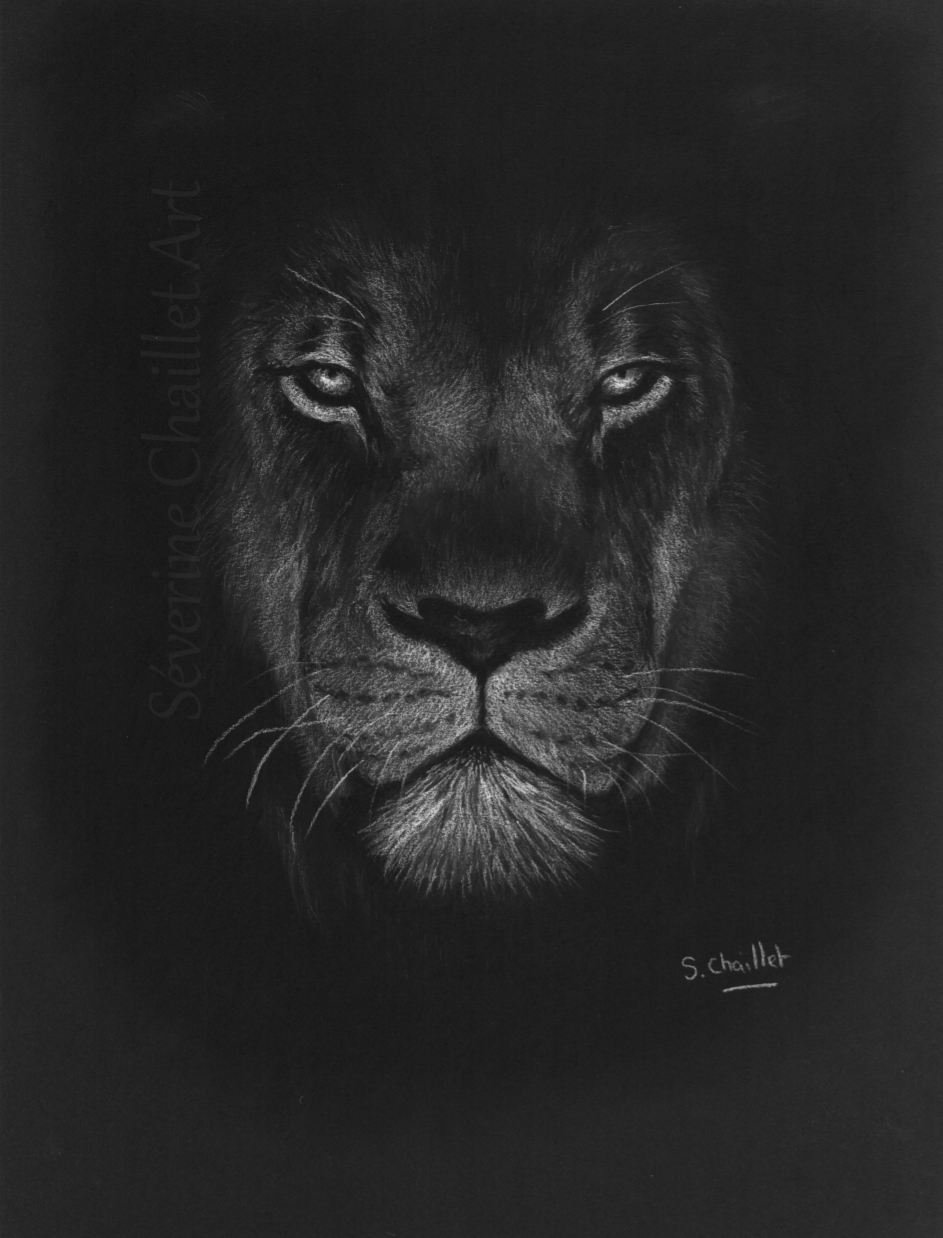 Portrait d'une lionne