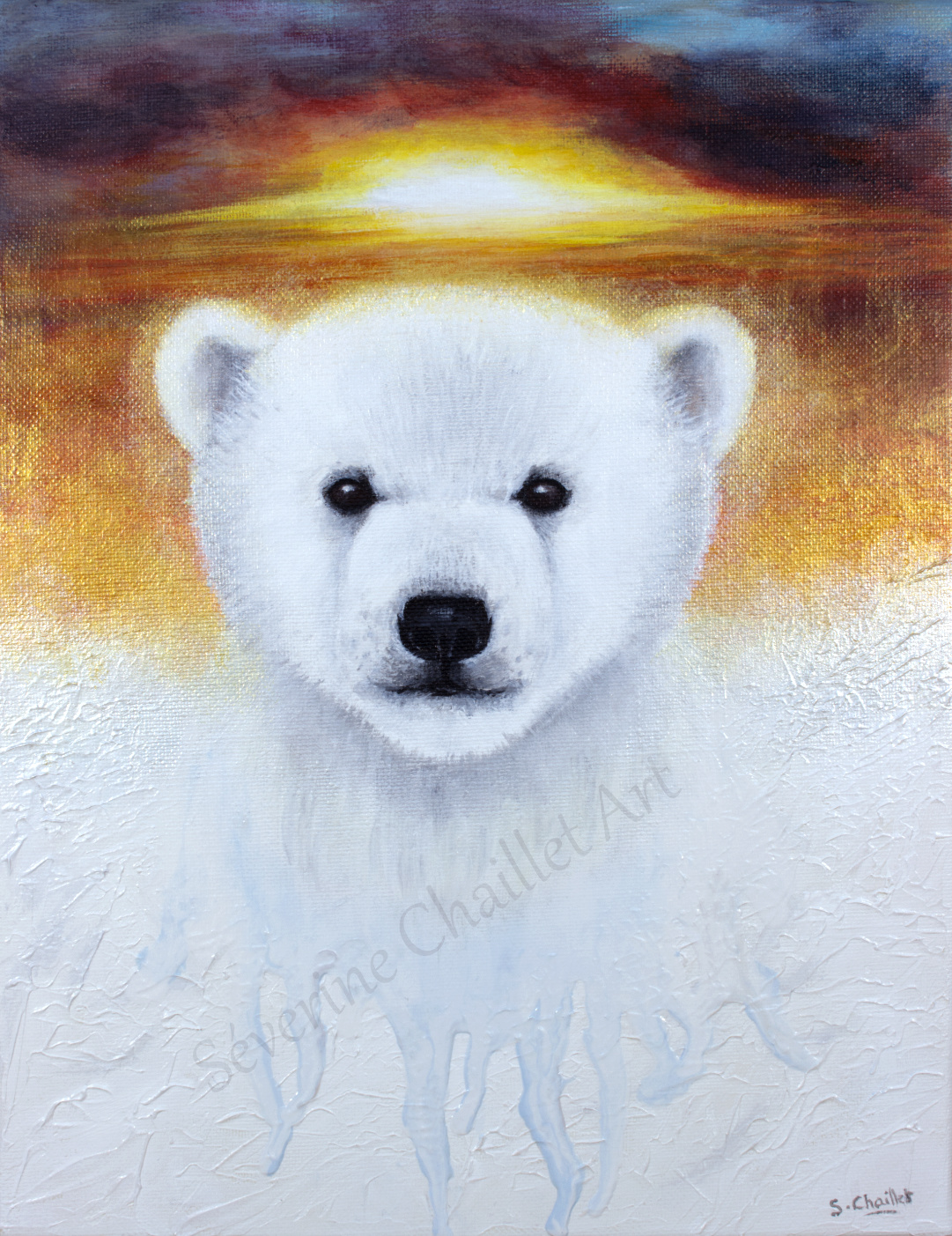 Portrait d'un ourson polaire victime du réchauffement climatique
