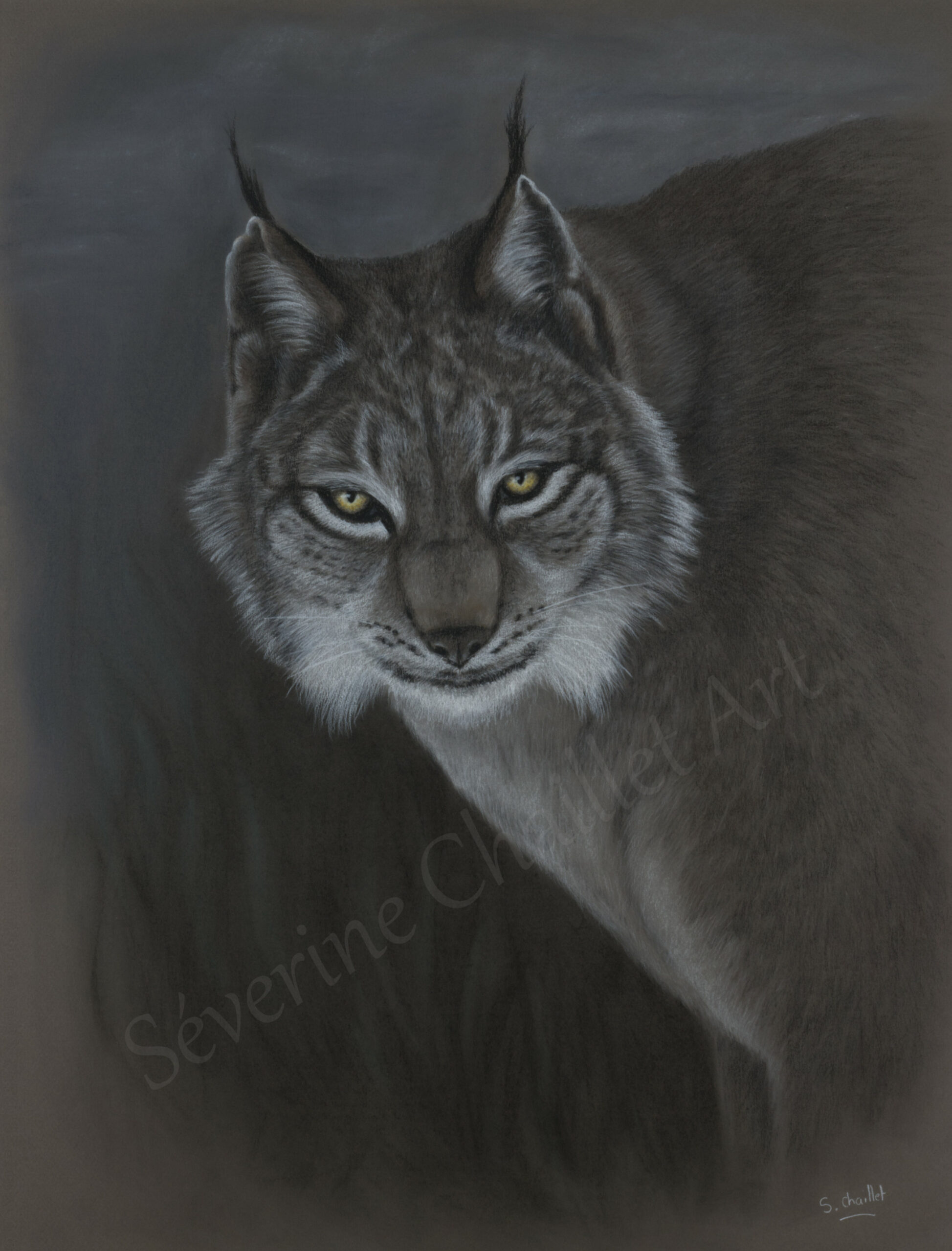 Portrait d'un lynx