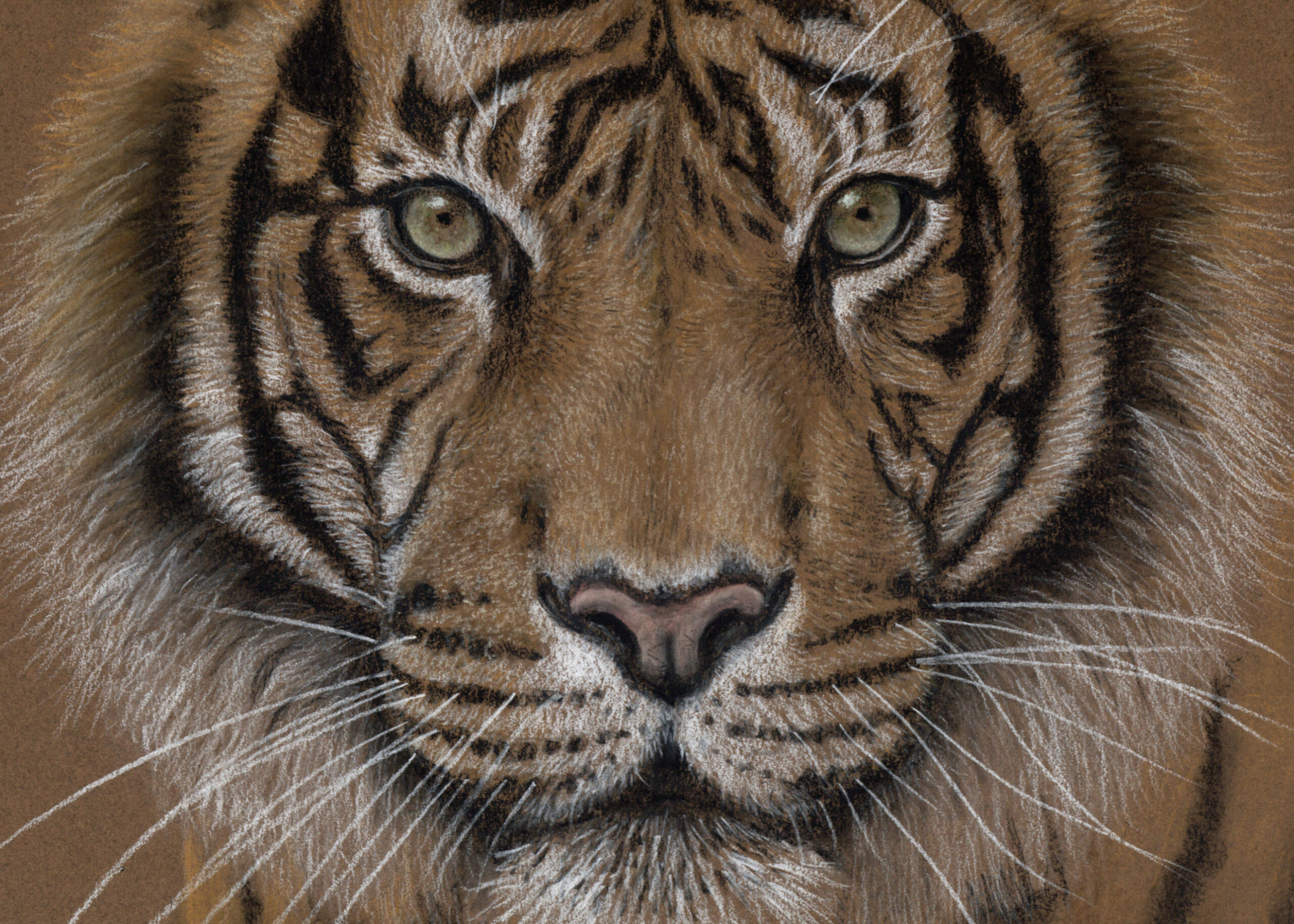 Galerie art animalier